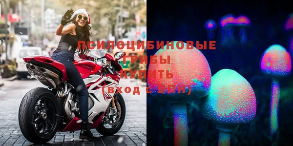 скорость Саяногорск