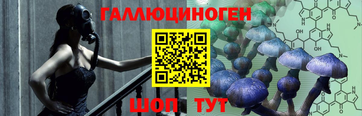 Галлюциногенные грибы Psilocybine cubensis Гурьевск