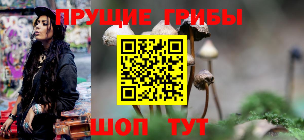 Гурьевск  Псилоцибиновые грибы Psilocybine cubensis  Вход с VPN  Псилоцибиновые грибы Magic Shrooms 