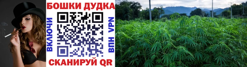 Марихуана OG Kush Гурьевск